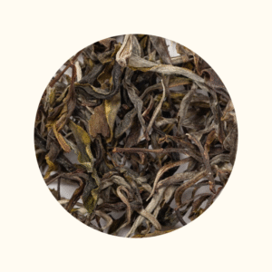 PHỔ NHĨ SỐNG PHÌNH HỒ