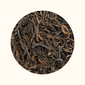 PHỔ NHĨ SỐNG SÙNG ĐÔ 2006