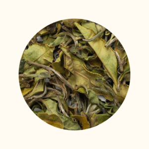 PAIMUTAN TAM ĐƯỜNG