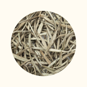 TRÀ KIM BẠC BẢN LIỀN