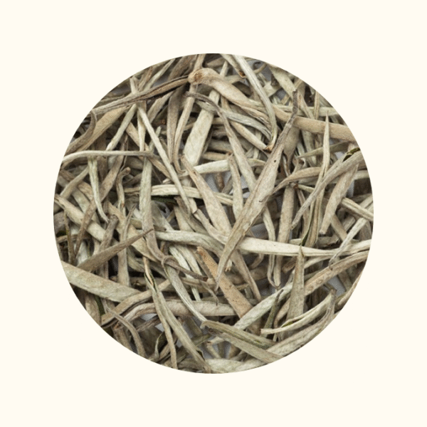TRÀ KIM BẠC BẢN LIỀN