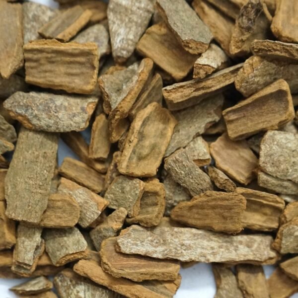 QUẾ VỤN VĂN CHẤN - Ảnh 2