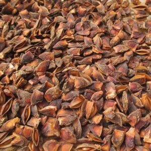 HỒI VỤN LẠNG SƠN